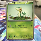 Snivy