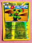 Maractus