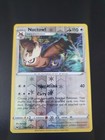 Noctowl
