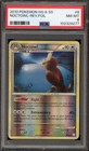 Noctowl