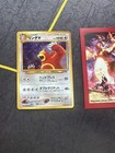 Ursaring