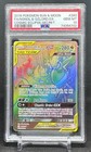 Naganadel & Guzzlord GX