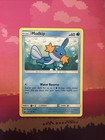 Mudkip