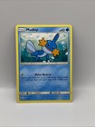 Mudkip