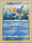 Mudkip