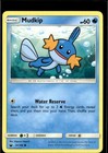 Mudkip