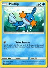 Mudkip