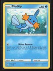 Mudkip