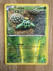 Cacnea