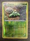 Cacnea