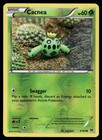 Cacnea