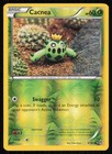 Cacnea