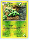 Cacnea