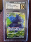 Glimmora ex