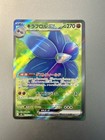 Glimmora ex
