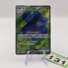 Glimmora ex