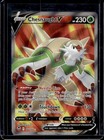 Chesnaught V