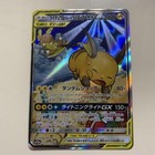 Raichu & Alolan Raichu Tag Team GX