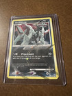 Arceus