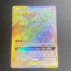 Charizard & Braixen GX