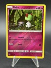 Ralts