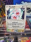 Maushold