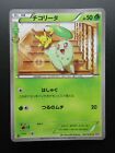 Chikorita