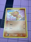Torchic