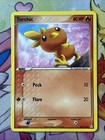 Torchic