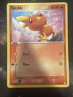 Torchic