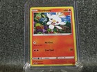 Scorbunny