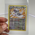 Cinccino