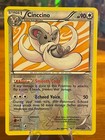 Cinccino