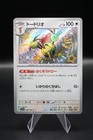 Dodrio