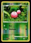Cherubi