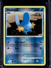 Mudkip