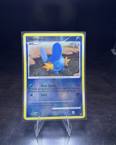 Mudkip