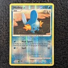 Mudkip
