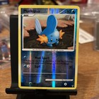 Mudkip