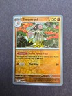Toedscruel