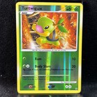 Turtwig