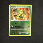 Turtwig