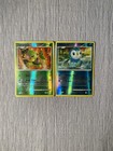 Turtwig