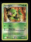 Turtwig