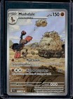 Mudsdale