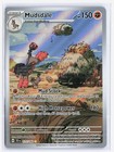 Mudsdale