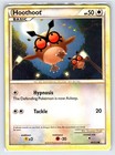 Hoothoot