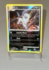 Absol