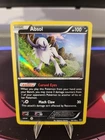 Absol