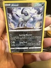Absol